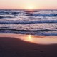 SummerPicks